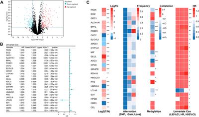 Integration analysis based on fatty acid metabolism robustly predicts prognosis, dissecting immunity microenvironment and aiding immunotherapy for soft tissue sarcoma